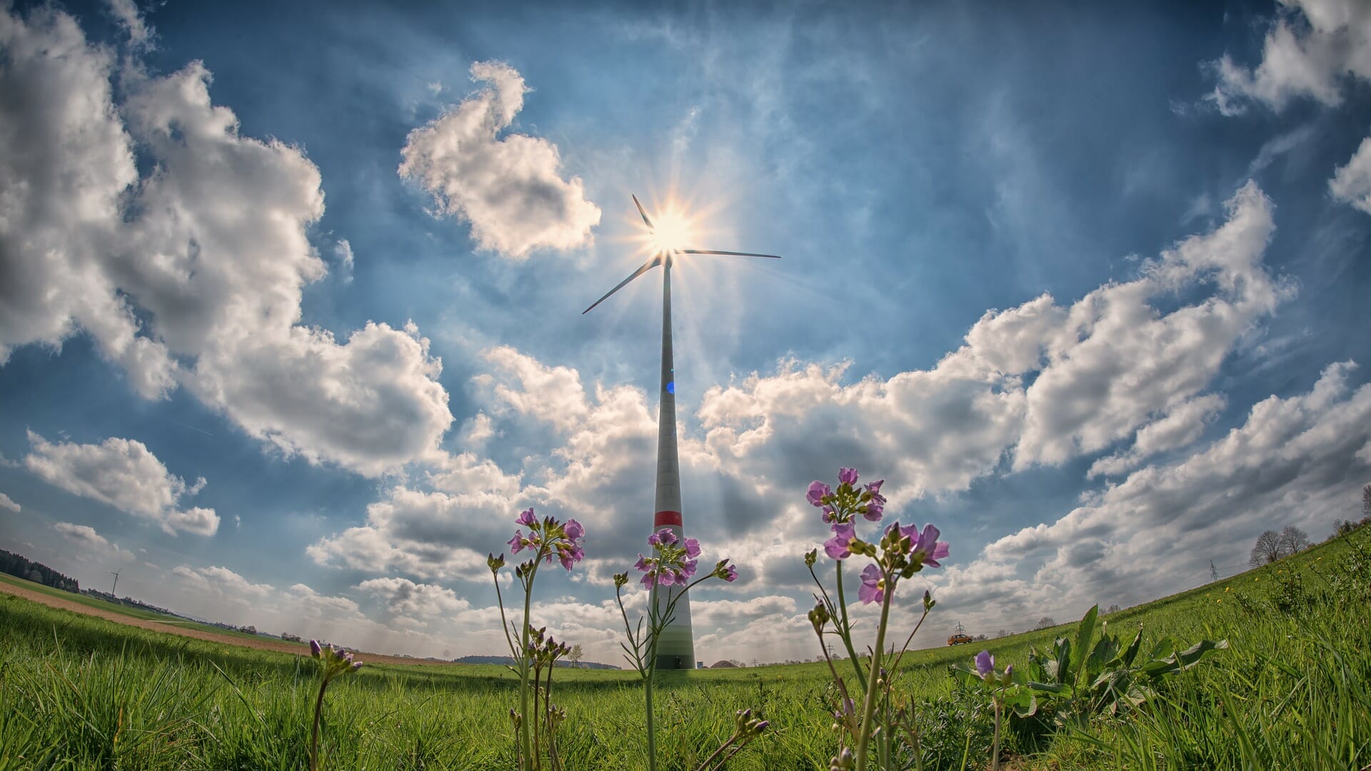 Erneuerbare Energien Politik